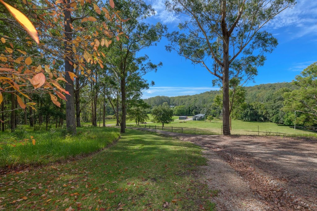 Watagan Australia Agistment & Spelling | 43 Watagan Rd, Martinsville NSW 2265, Australia | Phone: 0450 221 294