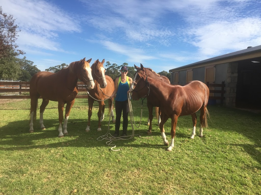 Hidden Rivers Horse Agistment & Laser Therapy | 621 Flaxley Rd, Bugle Ranges SA 5251, Australia | Phone: 0413 580 120