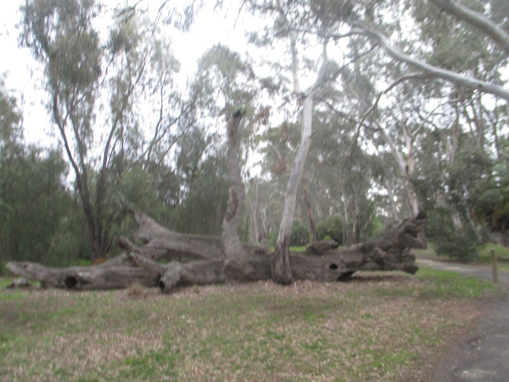Nine Creeks Reserve | park | Old Weir Ln, Dimboola VIC 3414, Australia