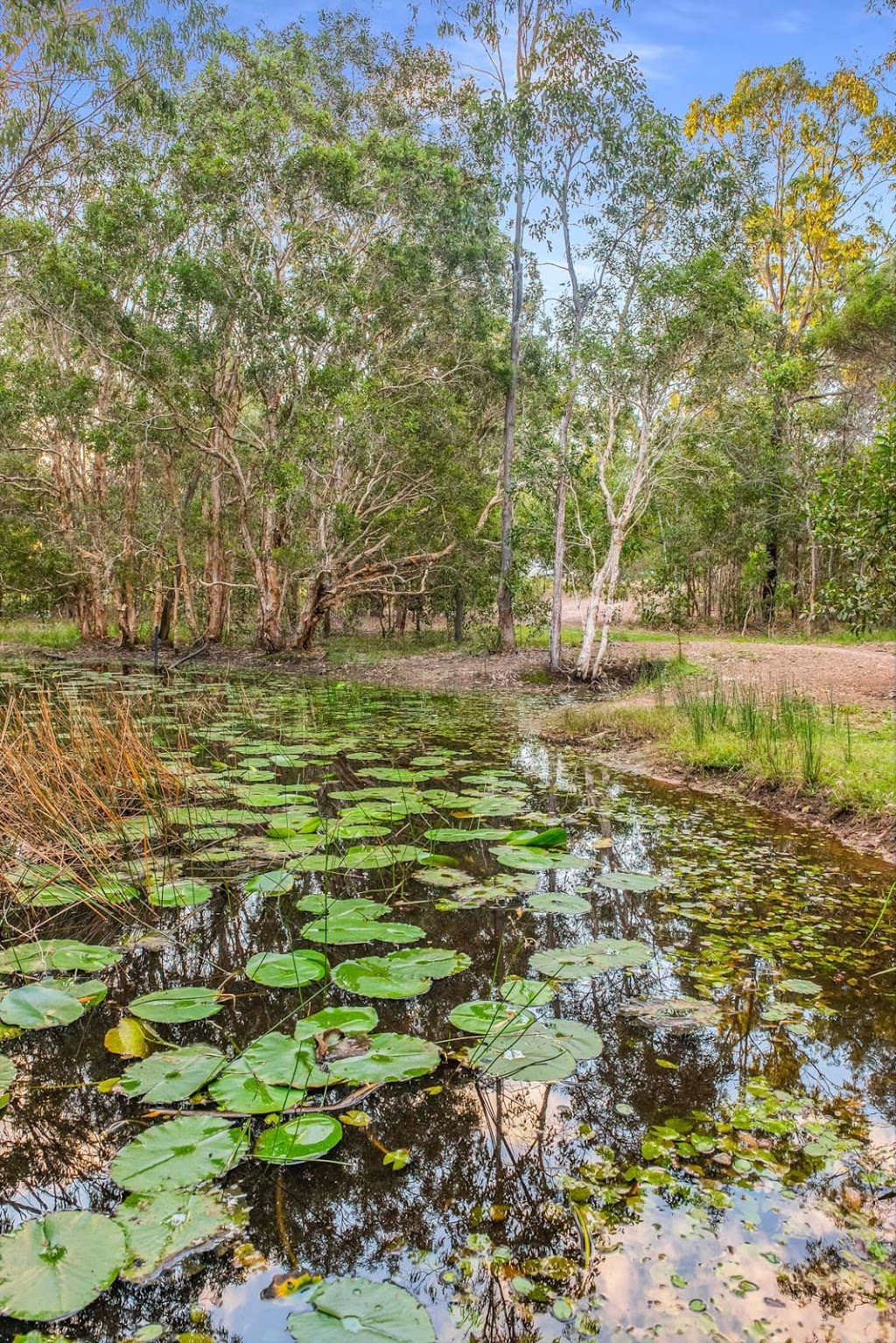 River Heads Caravan Park | 50 Bengtson Rd, River Heads QLD 4655, Australia | Phone: (07) 4125 7119