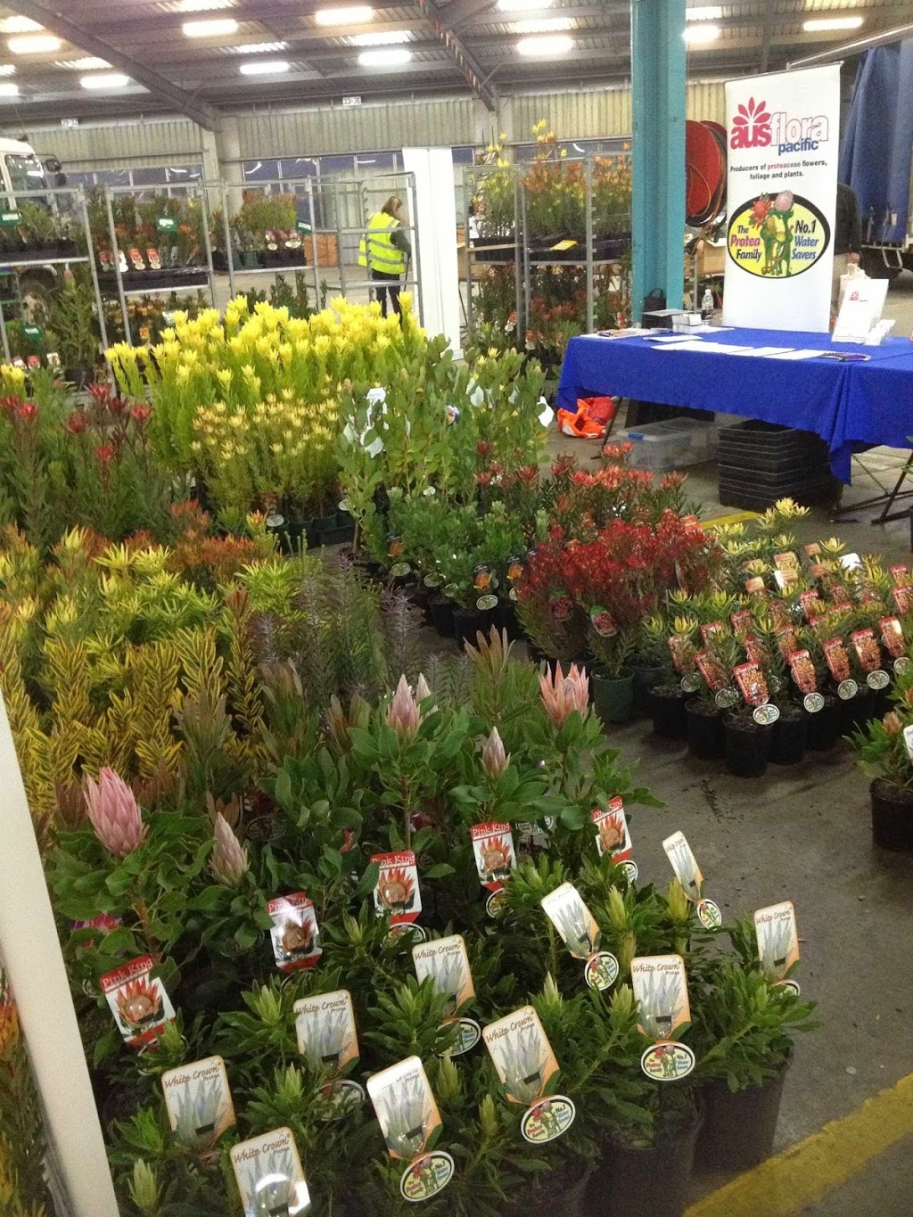 Ausflora Pacific |  | 200 Ure Rd, Gembrook VIC 3783, Australia | 0359681650 OR +61 3 5968 1650
