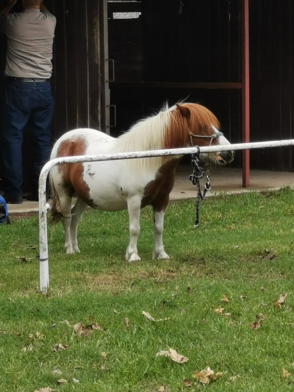 Walcha Racecourse | 140 Darjeeling Rd, Walcha NSW 2354, Australia | Phone: (02) 6774 2460