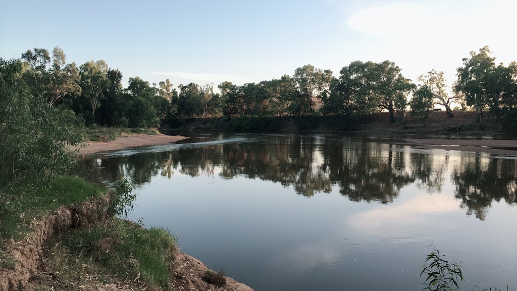 The shanty reserve | campground | River Rd, Alfredtown NSW 2650, Australia