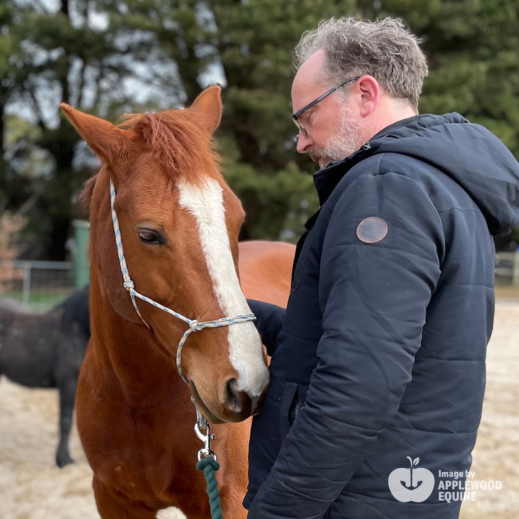 Applewood Equine | 7 Ewing St, Tylden VIC 3444, Australia | Phone: 0402 842 233