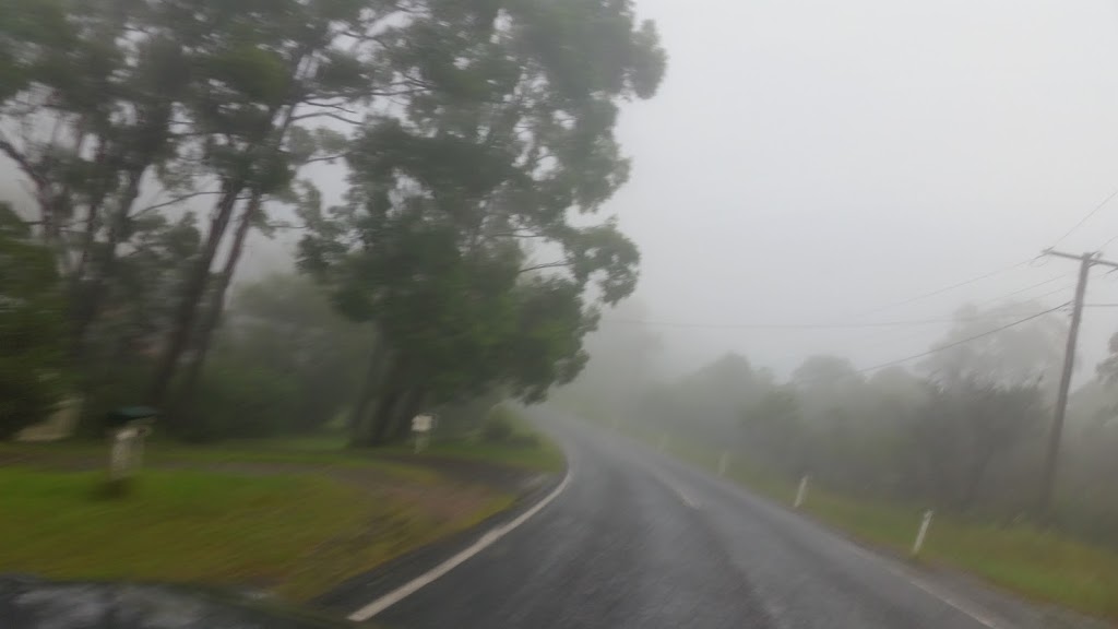 Tamborine Tranquility | 39 Tolima Dr, Tamborine Mountain QLD 4272, Australia | Phone: 0435 502 426