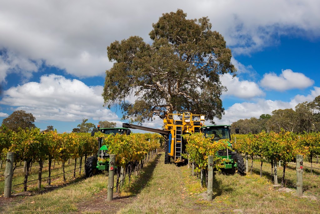 Burge Barossa - Vineyard Services | 10 Lilly Farm Rd, Tanunda SA 5352, Australia | Phone: (08) 8563 7500