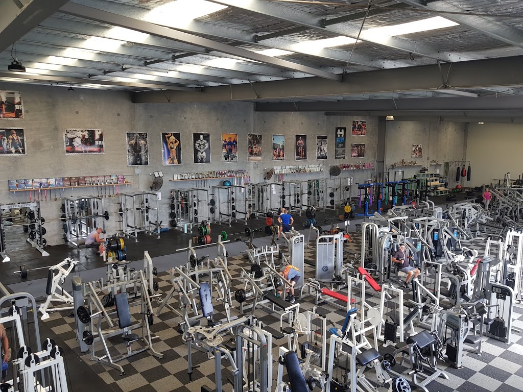 Muscle Hut | gym | 19 Premier Cct, Warana QLD 4575, Australia | 0438852058 OR +61 438 852 058