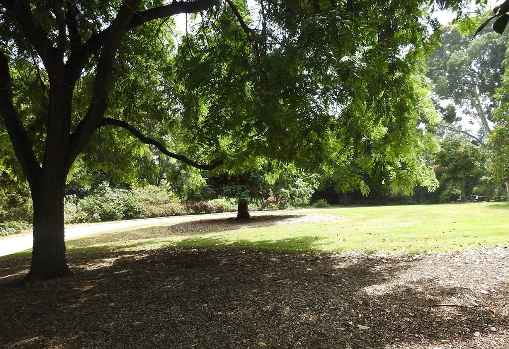 Government House Gardens | park | Government House Dr, Melbourne VIC 3004, Australia | 0396554211 OR +61 3 9655 4211