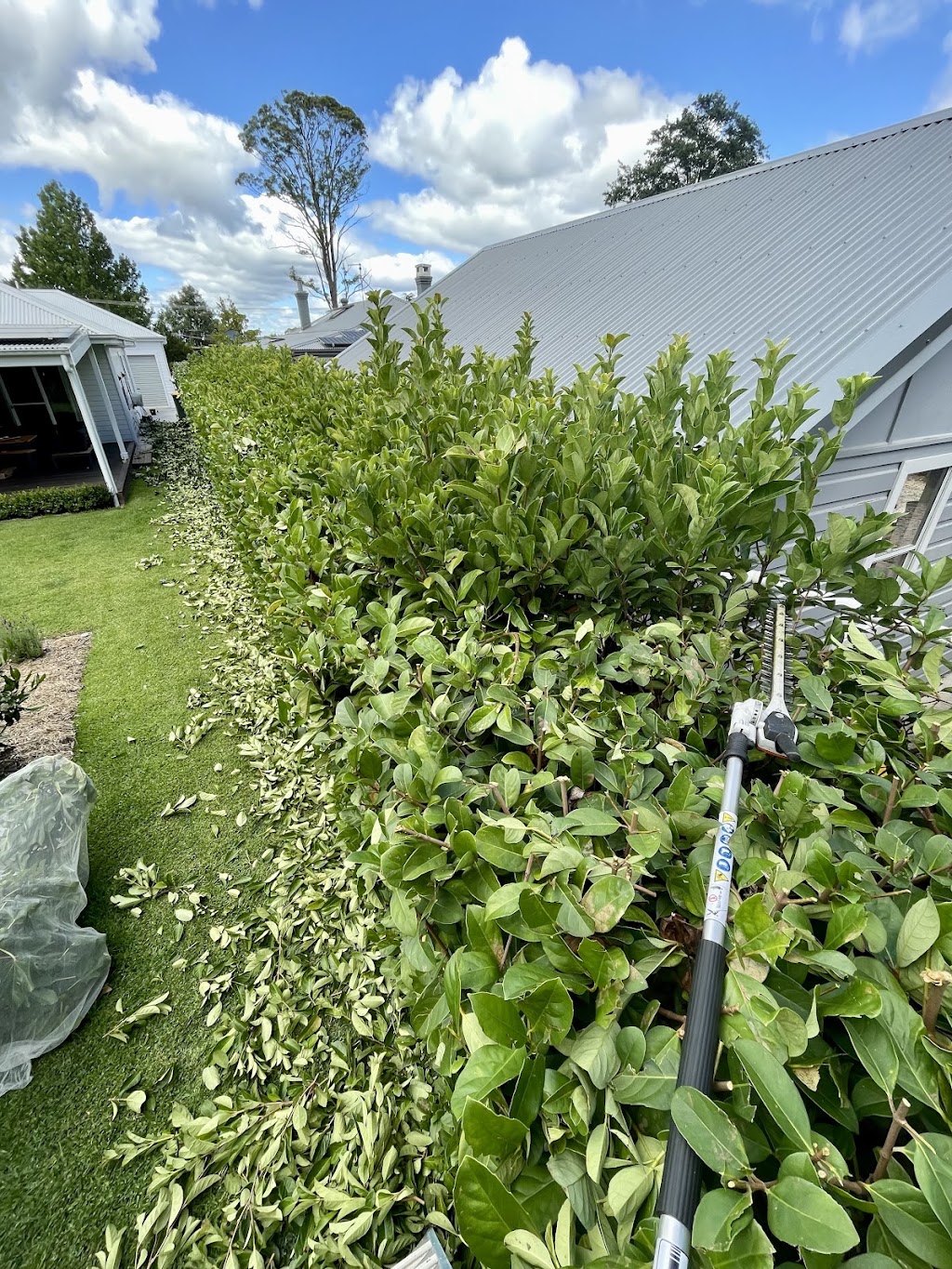 Golden Leaf Gardening | 13 Crane St, Springwood NSW 2777, Australia | Phone: 0401 666 303