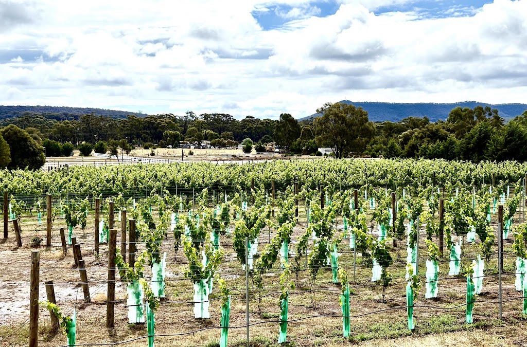 Indomitable Heathcote | 6 Hamilton Ct, Heathcote VIC 3523, Australia | Phone: 0411 473 540