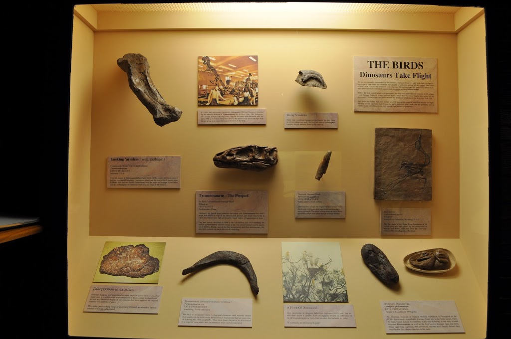 The Big Fish Fossil Hut | museum | Ween St, Peak Hill NSW 2869, Australia | 0268691422 OR +61 2 6869 1422