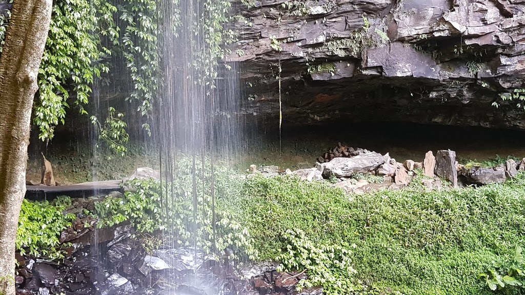 Crystal Shower Falls | park | 142 Dome Rd, Dorrigo Mountain NSW 2453, Australia