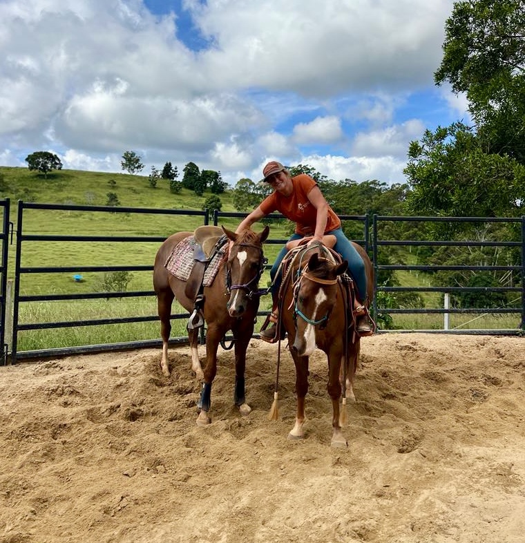 Watson Equine | 30 Doomben Ct, Beechmont QLD 4211, Australia | Phone: 0432 891 400