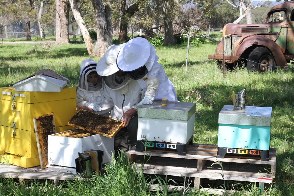 Ripple Farm Beekeeping | 16 Harrogate Rd, Gledhow WA 6330, Australia | Phone: 0409 117 651