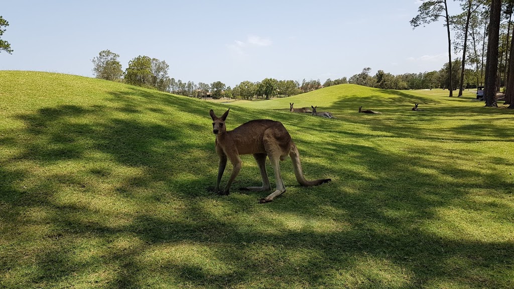 The Pines Golf Course | Gleneagles Dr, Hope Island QLD 4212, Australia | Phone: (07) 5699 9050