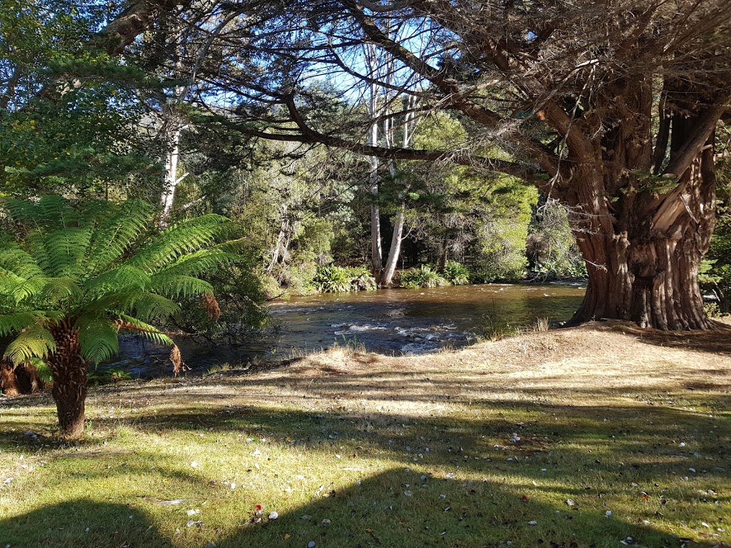 Russell Falls Holiday Cottages | 40 Lake Dobson Rd, National Park TAS 7140, Australia | Phone: (03) 6288 1198