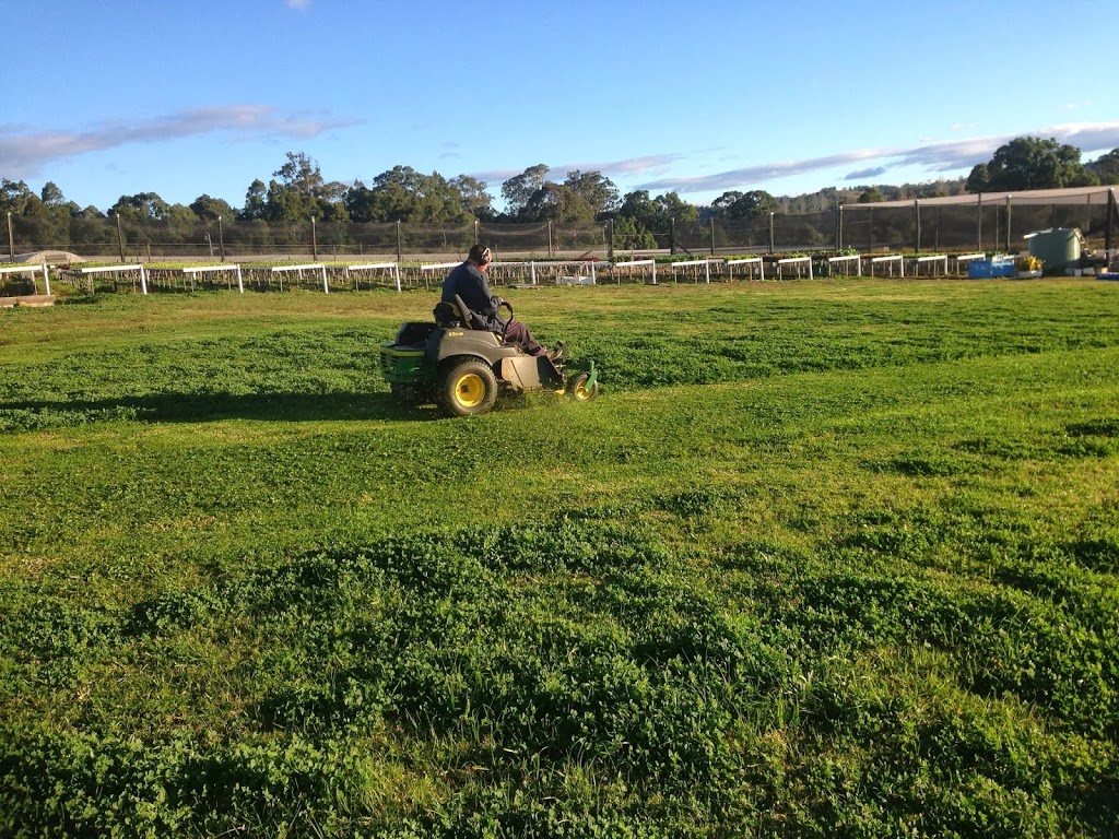 Nigel McCarthys Mowing Services |  | 25 Terry Rd, Theresa Park NSW 2570, Australia | 0428990388 OR +61 428 990 388