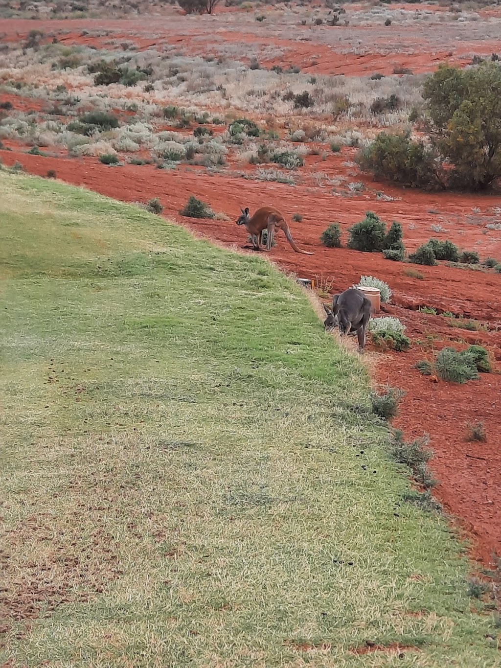 Goldfields Golf Club | 93 Aslett Dr, Karlkurla WA 6430, Australia | Phone: (08) 9021 1330
