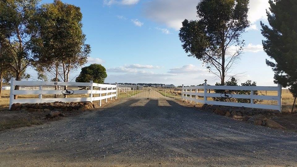 Yarrabee Farm - Horse Agistment |  | 246 Gearys Ln, Ballan VIC 3342, Australia | 0473350000 OR +61 473 350 000