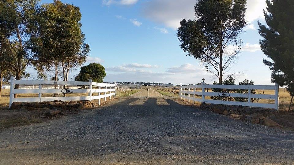 Yarrabee Farm - Horse Agistment | 246 Gearys Ln, Ballan VIC 3342, Australia | Phone: 0473 350 000