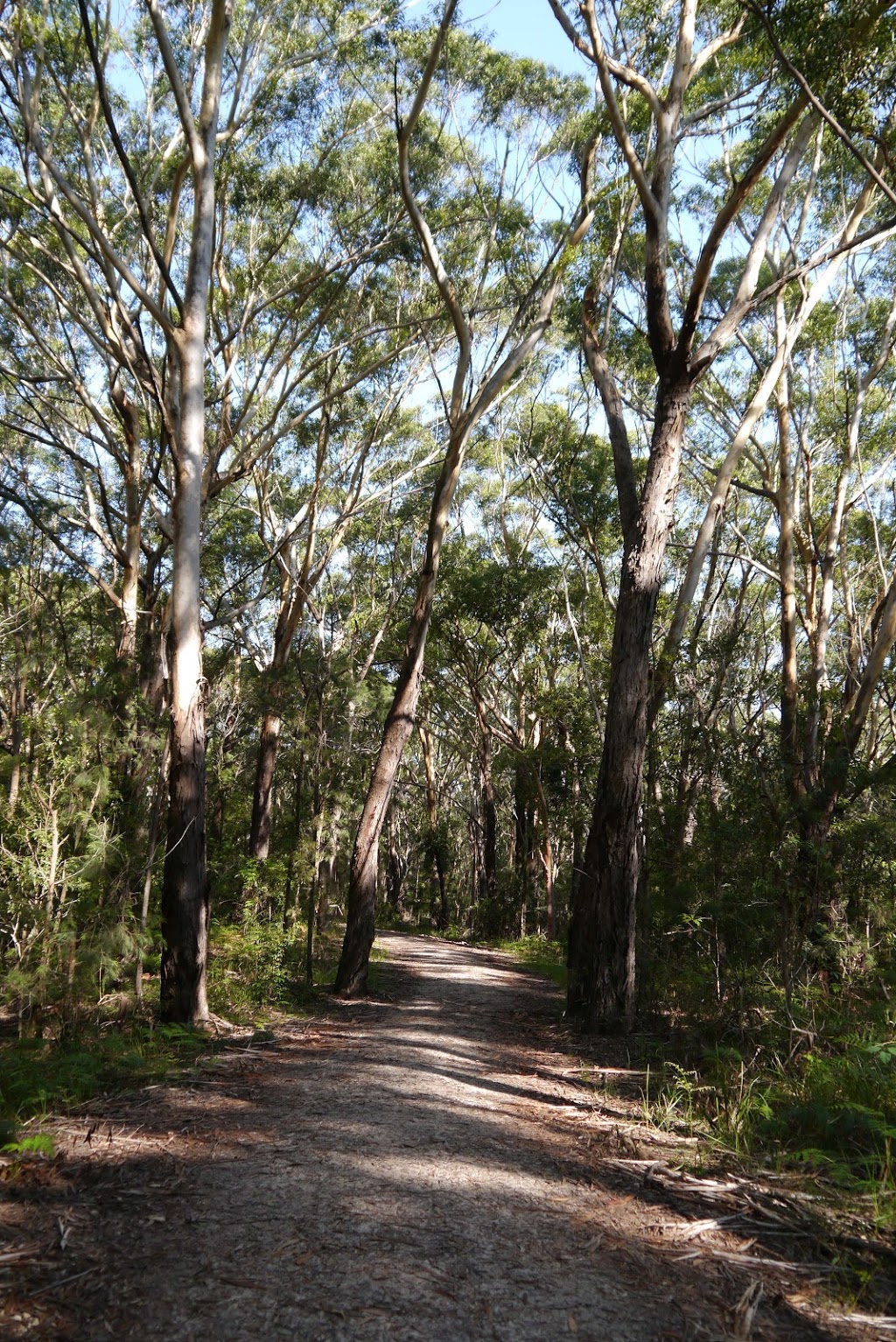 Avoca Beach Bowling and Recreation Club | Avoca Dr & Townsend Ave, Avoca Beach NSW 2251, Australia | Phone: (02) 4356 2200