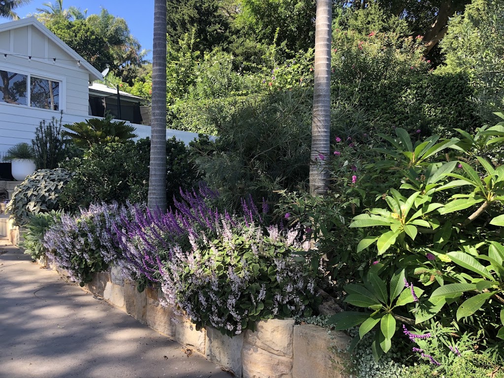 Tranquil Gardens Group | 256 Barrenjoey Rd, Newport NSW 2106, Australia | Phone: 0422 567 040