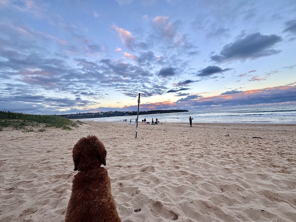 Beachfront escape Merimbula | 24 Ocean Dr, Merimbula NSW 2548, Australia | Phone: 0488 526 299