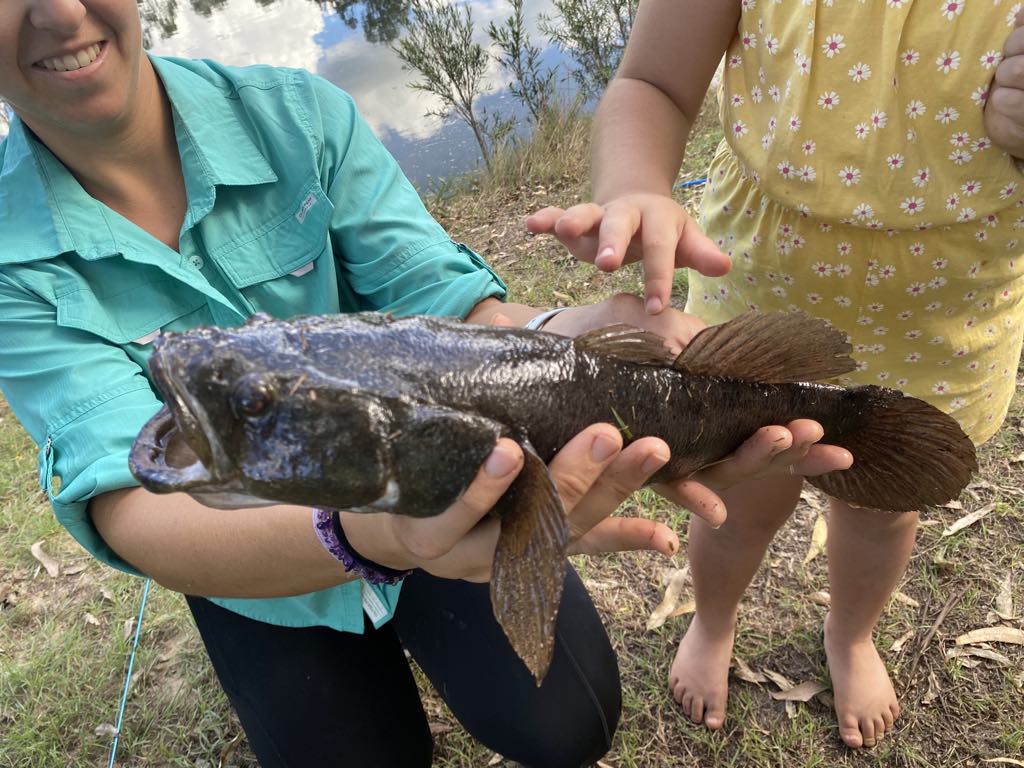 Esk Ponds Getaway Camping | 3709 Gatton Esk Rd, Esk QLD 4312, Australia | Phone: 0415 745 747