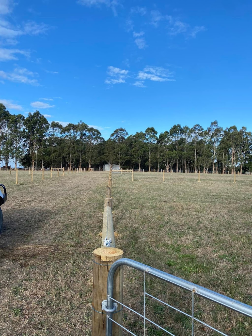 Gippsvalley Contractors | 210 Carrs Creek Rd, Longford VIC 3851, Australia | Phone: 0422 973 492