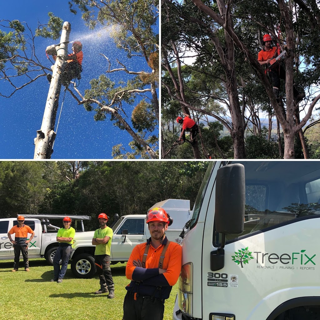 Tree Fix | 212 Wappa Falls Rd, Yandina QLD 4561, Australia | Phone: 0439 724 013