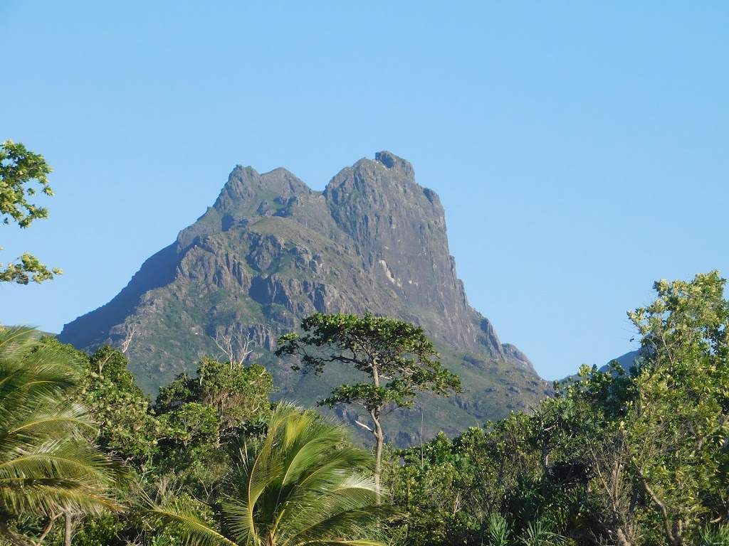 Hinchinbrook Island Cruises | Foxtail Ave Hinchinbrook, Harbour, Cardwell QLD 4849, Australia | Phone: 0499 335 383