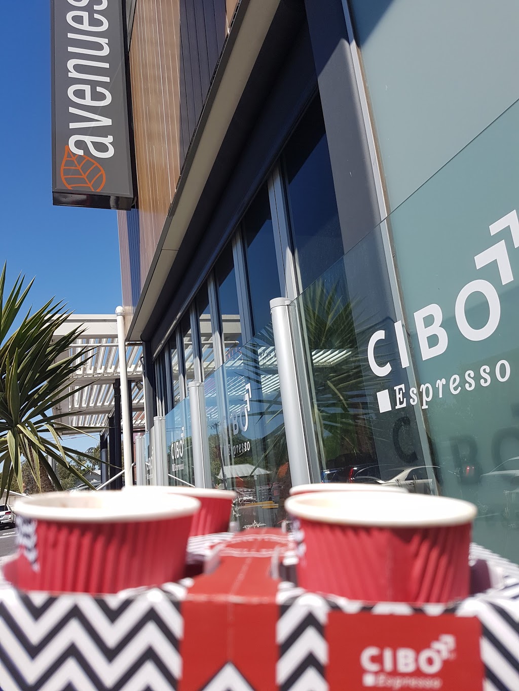 CIBO Espresso The Avenues | cafe | 1/114 Payneham Rd, Stepney SA 5069, Australia | 0883627553 OR +61 8 8362 7553