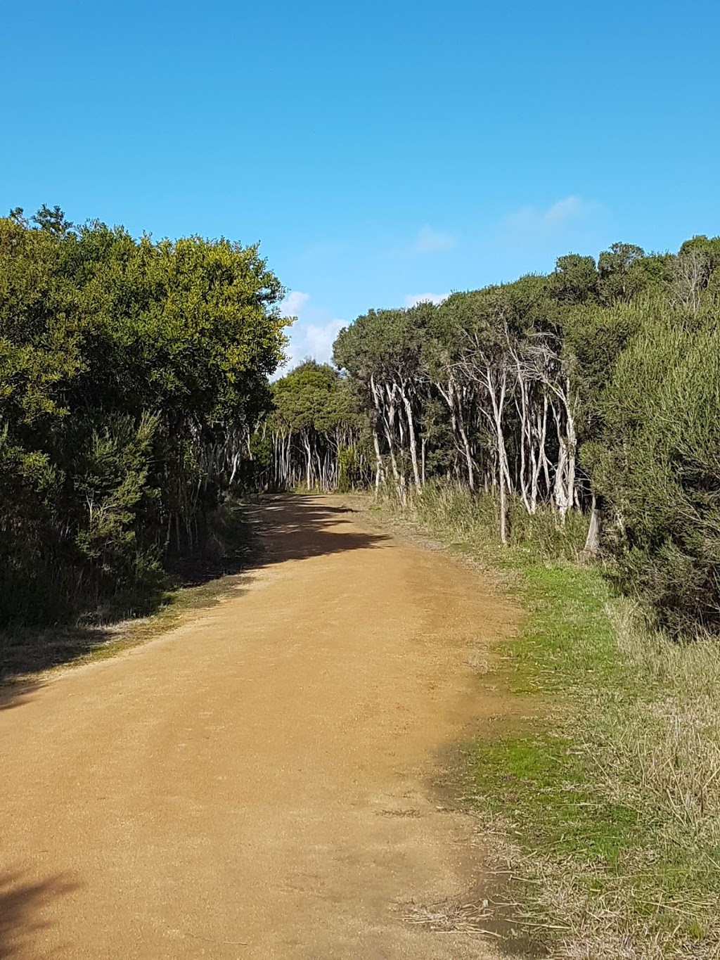 Wonthaggi Wetlands Reserve | park | Wonthaggi VIC 3995, Australia