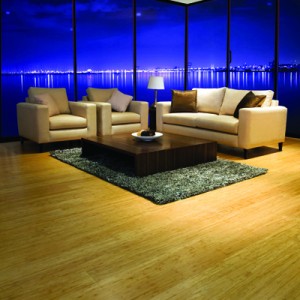 Brisbane Floors - Timber, Vinyl & Bamboo Flooring | home goods store | Enoggera QLD 4051, Australia | 0421112200 OR +61 421 112 200