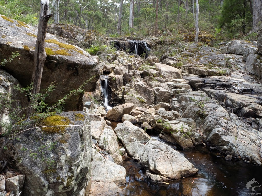 Myanba Gorge Picnic Area & Walking Track | Myanba Gorge Walking Track, Coolangubra NSW 2550, Australia | Phone: (02) 6458 5900