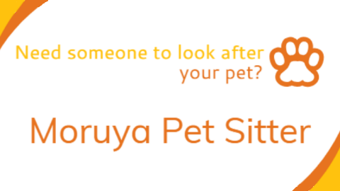 Moruya Pet Sitter | 71 Dwyers Ridge Rd, Moruya NSW 2537, Australia | Phone: 0404 678 397