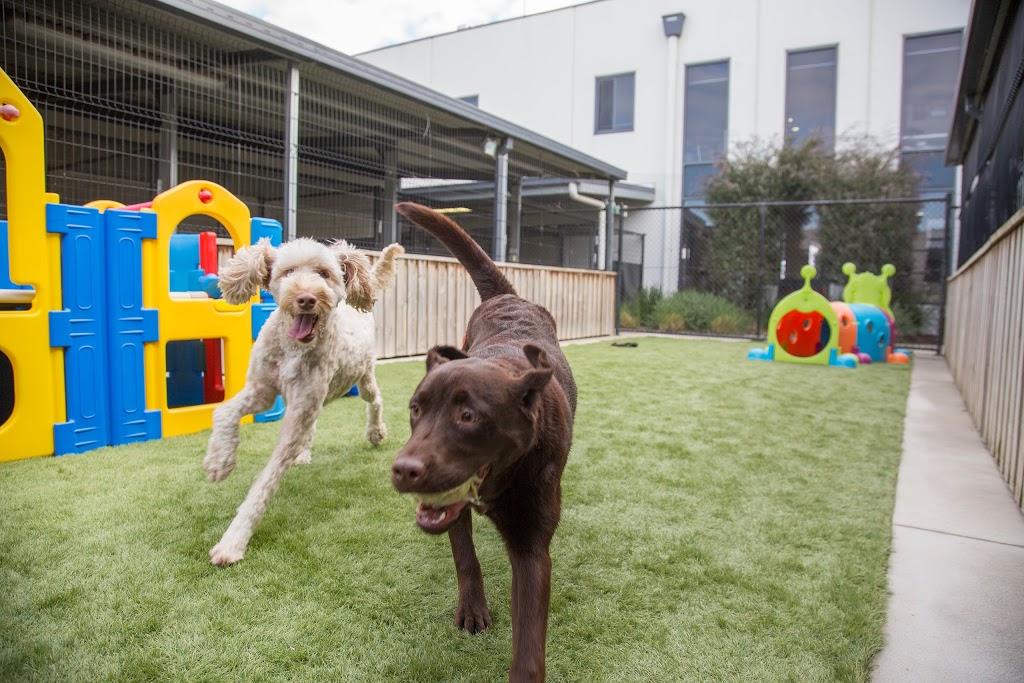 Abba Dog Boarding Kennels & Cattery | veterinary care | 59/61 Ordish Rd, Dandenong South VIC 3175, Australia | 0397682214 OR +61 3 9768 2214