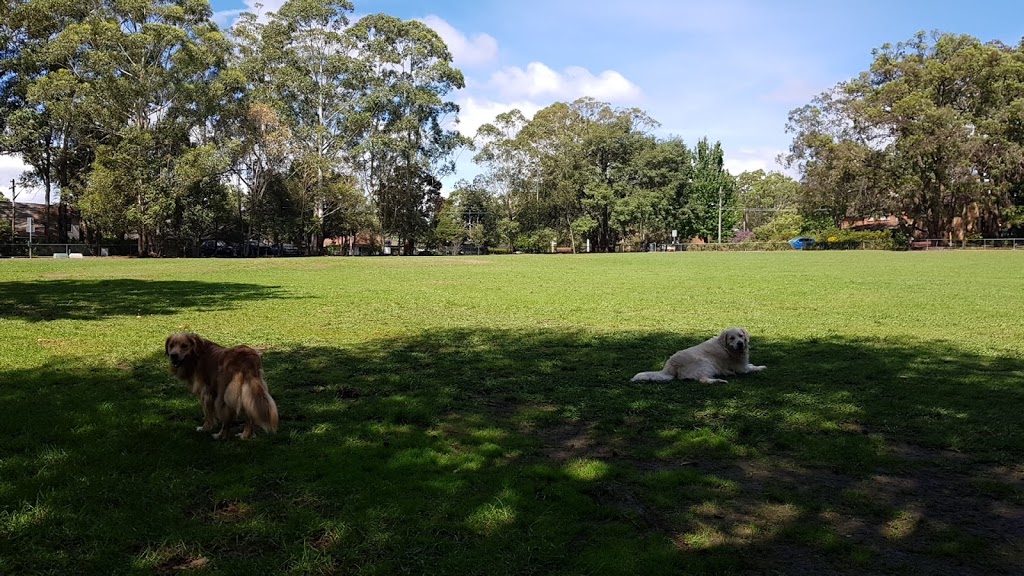 Dog Park | park | 28 Westbrook Ave, Wahroonga NSW 2076, Australia