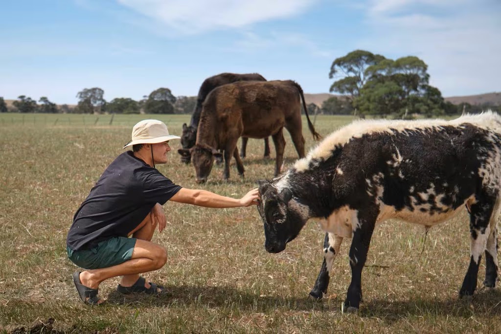 Cartapo Creek - Farm Stay South Australia | HVGX+FJ, Hallett SA 5419, Australia | Phone: 0438 803 835