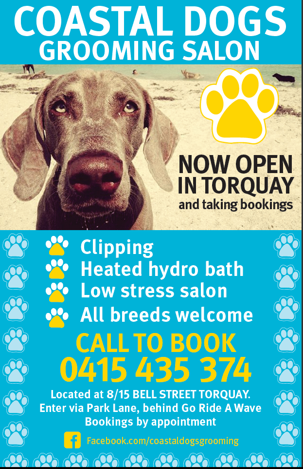 Coastal Dogs Grooming Salon Torquay | 8/15 Bell St, Torquay VIC 3228, Australia | Phone: 0415 435 374