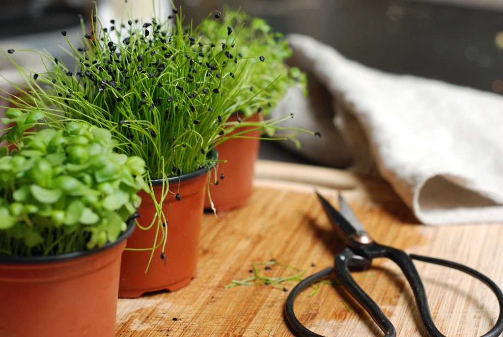 Nourish Nutrition and Lifestyle Coaching | 25 Dorcas St, South Melbourne VIC 3205, Australia | Phone: 1300 030 414