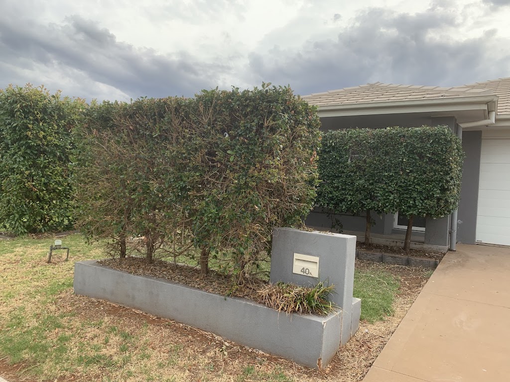 Panjab Lawn Care | 22a Biara St, Bargo NSW 2574, Australia | Phone: 0403 798 905