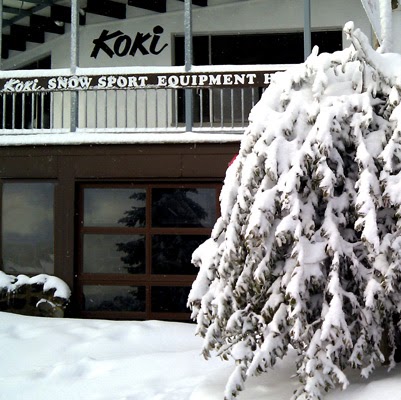 Koki Alpine Resort | store | 1 Arlberg St, Falls Creek VIC 3699, Australia | 1800036005 OR +61 1800 036 005