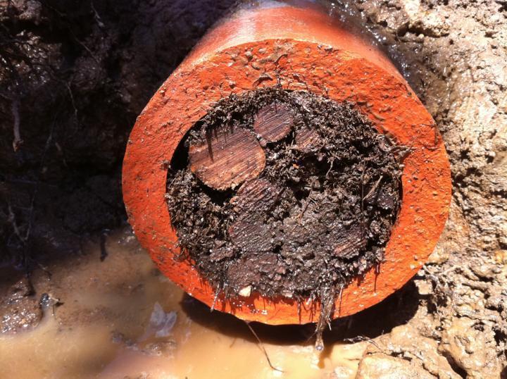 Northern Plumbing Gas & Drainage | 30 Cecily St, Kallangur QLD 4503, Australia | Phone: 0411 671 377