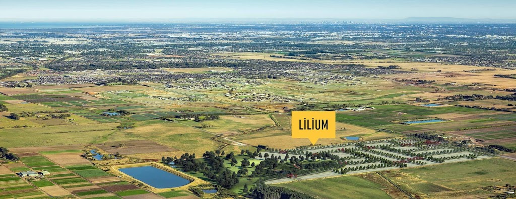 Lilium by AVID Property Group | 260 Pattersons Rd, Clyde VIC 3978, Australia | Phone: 0439 342 842