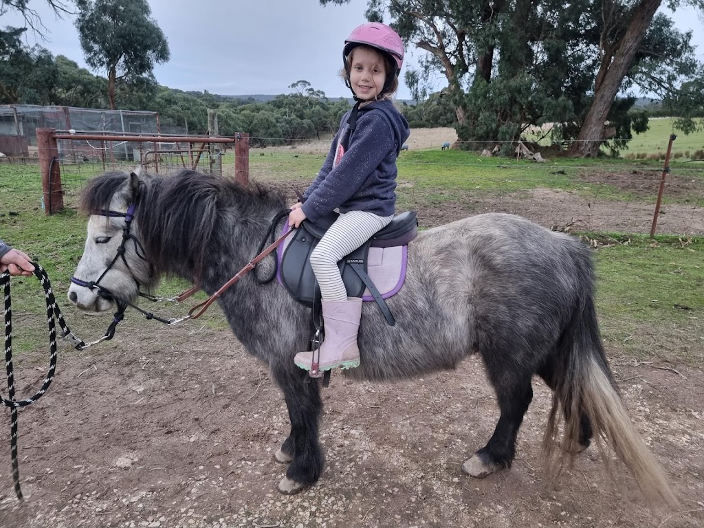 Rebel Equestrian Centre | 29 William Ct, Berringa VIC 3351, Australia | Phone: 0406 498 528