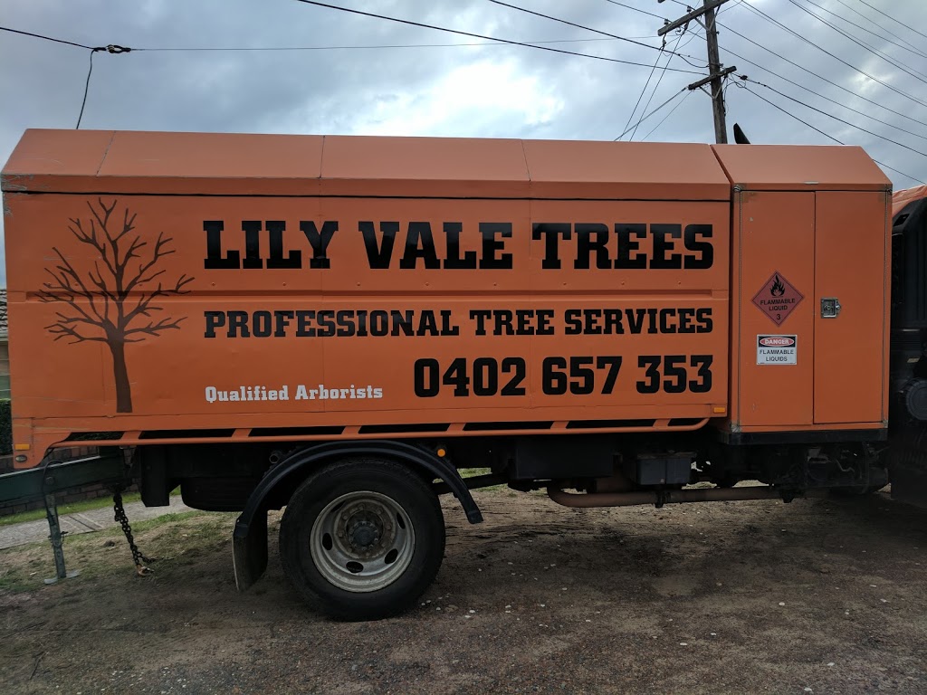 Lilyvale Tree service | 1433 Princes Hwy, Heathcote NSW 2233, Australia | Phone: 0402 657 353