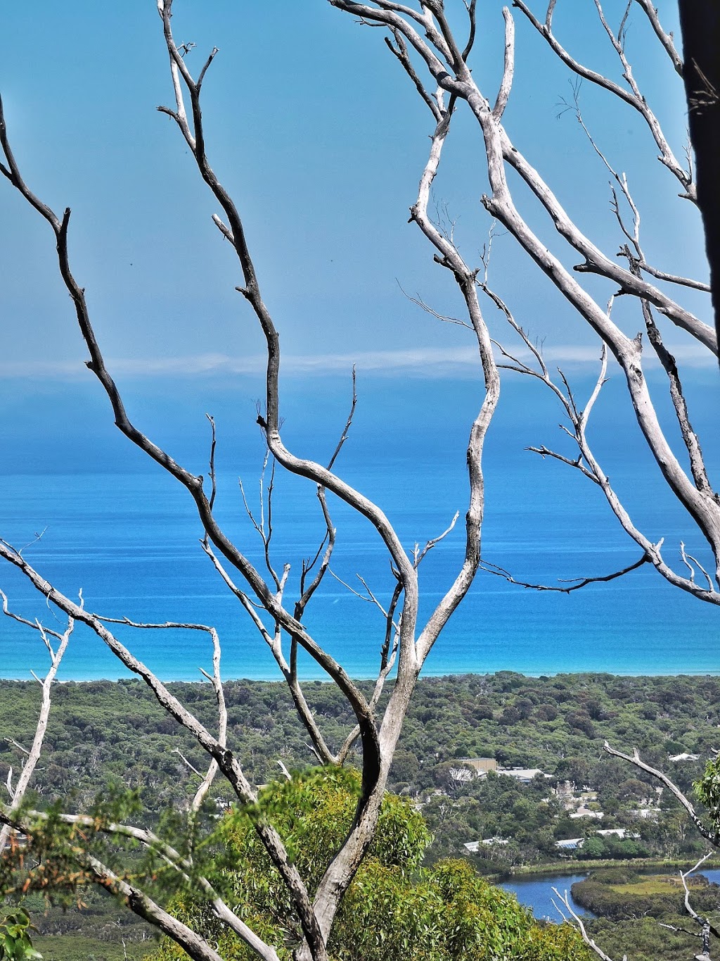 Lilly pilly Gully cir | park | Lilly Pilly Gully Circuit, Wilsons Promontory VIC 3960, Australia