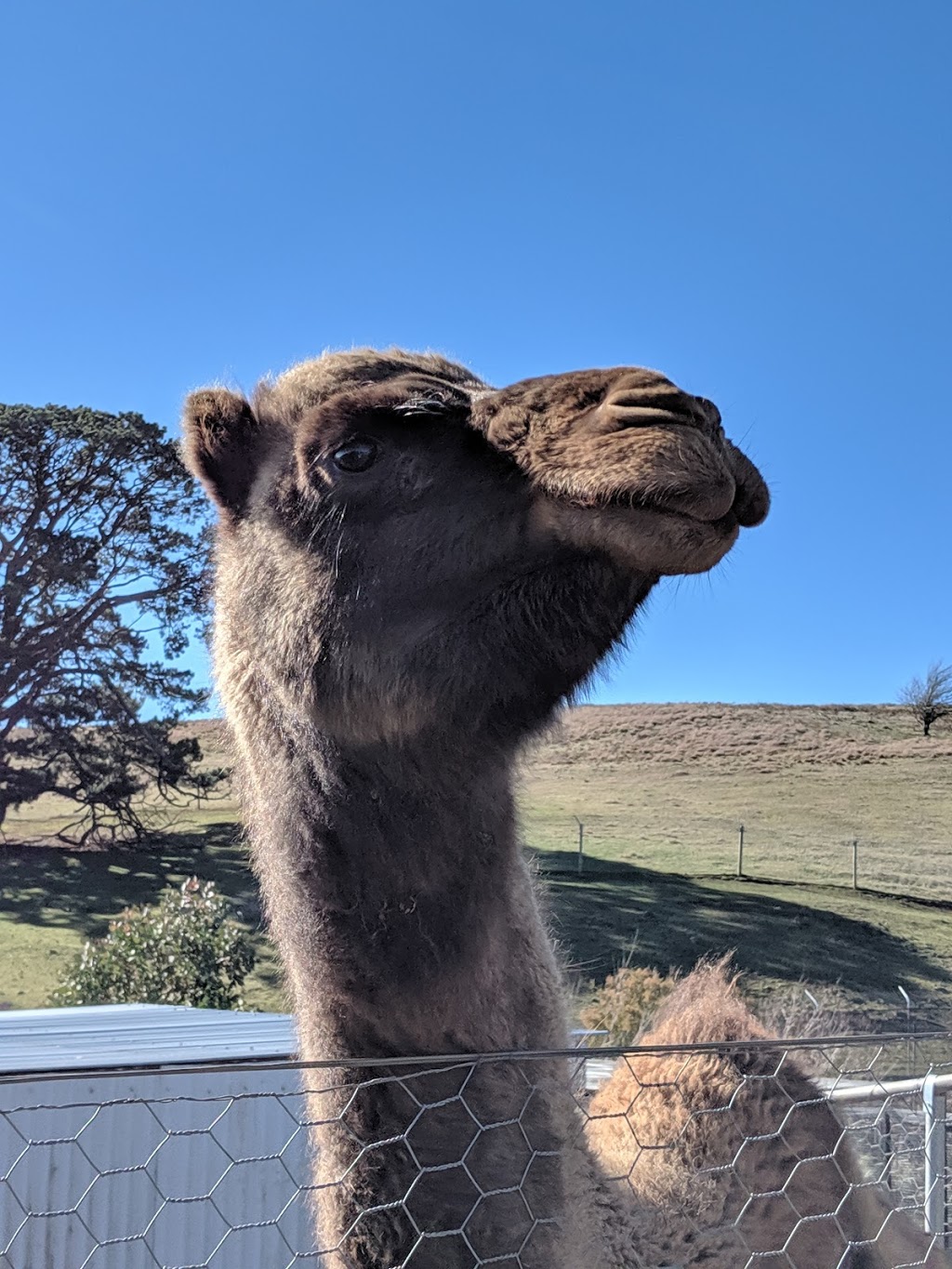 Taralga Wildlife Park | 257 Bannaby Rd, Taralga NSW 2580, Australia | Phone: 0419 014 540