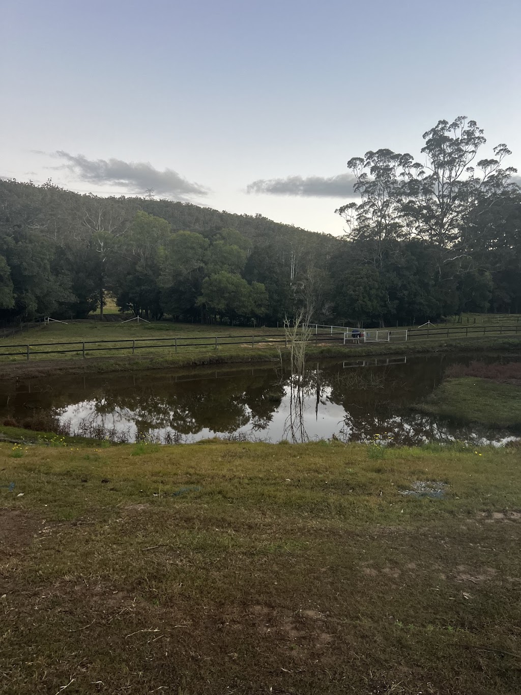 Watagan Australia Agistment & Spelling | 43 Watagan Rd, Martinsville NSW 2265, Australia | Phone: 0450 221 294